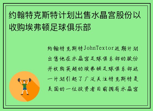 约翰特克斯特计划出售水晶宫股份以收购埃弗顿足球俱乐部